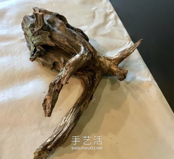 撿回雪松樹干當花盆 DIY制作多肉盆景的方法 -  itrip.net.cn