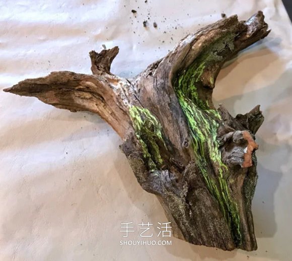 撿回雪松樹干當花盆 DIY制作多肉盆景的方法 -  itrip.net.cn