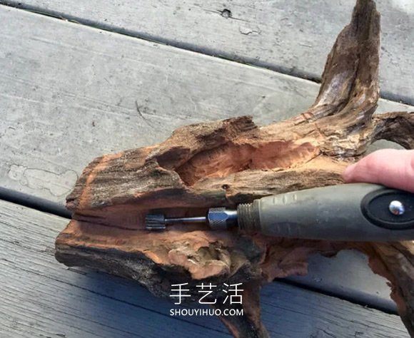 撿回雪松樹干當花盆 DIY制作多肉盆景的方法 -  itrip.net.cn