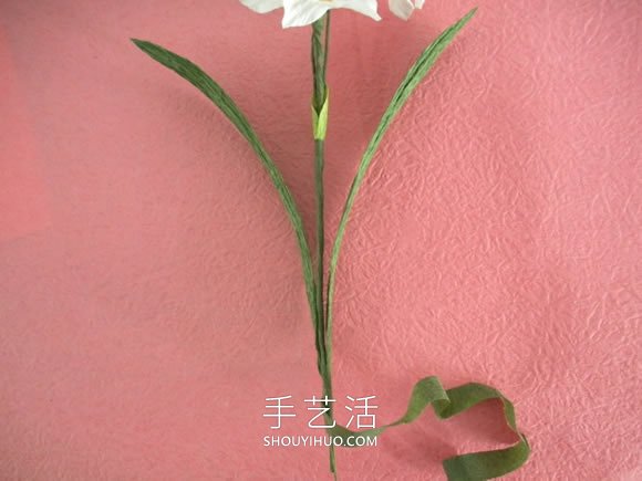 簡單自制皺紋紙水仙花的方法圖解教程 -  itrip.net.cn