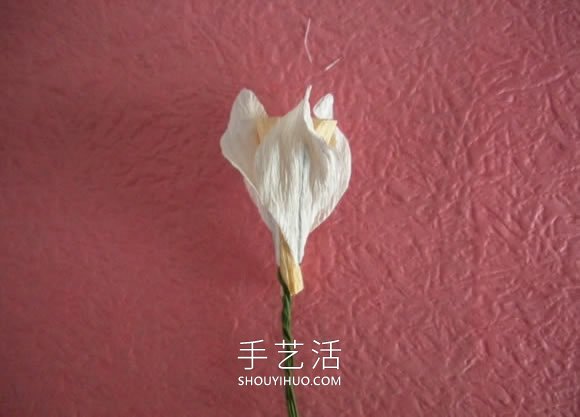 簡單自制皺紋紙水仙花的方法圖解教程 -  itrip.net.cn