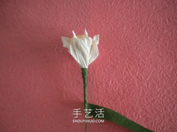 簡單自制皺紋紙水仙花的方法圖解教程 -  itrip.net.cn