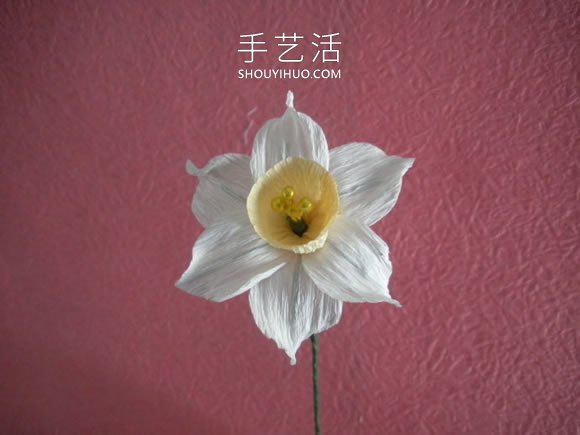 簡單自制皺紋紙水仙花的方法圖解教程 -  itrip.net.cn