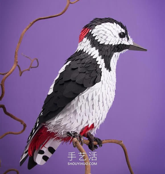 藝術(shù)家用4000張紙雕塑出逼真的鳥類和蝴蝶 -  itrip.net.cn