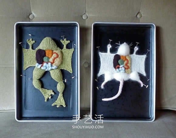 動物解剖針織作品！將解剖場面變成可愛展示 -  itrip.net.cn