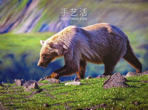 仿佛會躍出畫布！逼真畫作捕捉野生動物之美 -  itrip.net.cn
