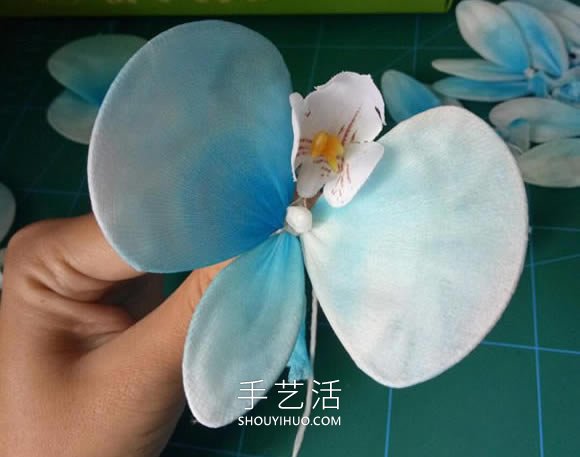 絲網(wǎng)花蝴蝶蘭的制作方法步驟圖解教程 -  itrip.net.cn