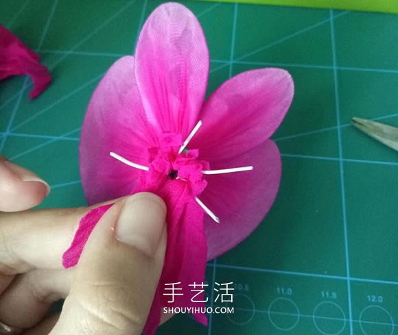絲網(wǎng)花蝴蝶蘭的制作方法步驟圖解教程 -  itrip.net.cn