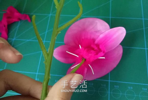 絲網(wǎng)花蝴蝶蘭的制作方法步驟圖解教程 -  itrip.net.cn