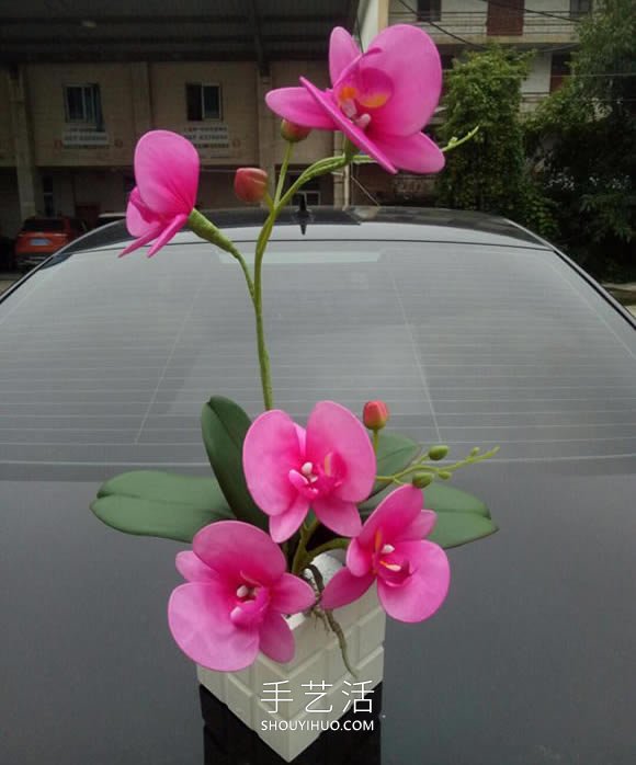絲網(wǎng)花蝴蝶蘭的制作方法步驟圖解教程 -  itrip.net.cn