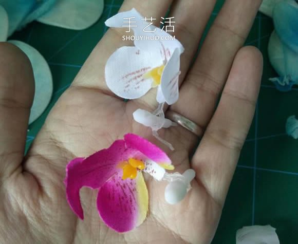 絲網(wǎng)花蝴蝶蘭的制作方法步驟圖解教程 -  itrip.net.cn