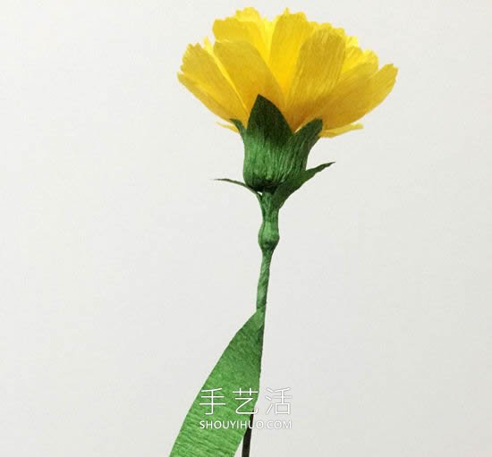 康乃馨皺紋紙花的手工制作方法圖解教程 -  itrip.net.cn