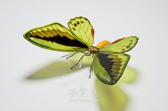 逼真蝴蝶玻璃雕塑！以瀕臨滅絕的蝴蝶為原型 -  itrip.net.cn
