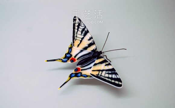 逼真蝴蝶玻璃雕塑！以瀕臨滅絕的蝴蝶為原型 -  itrip.net.cn