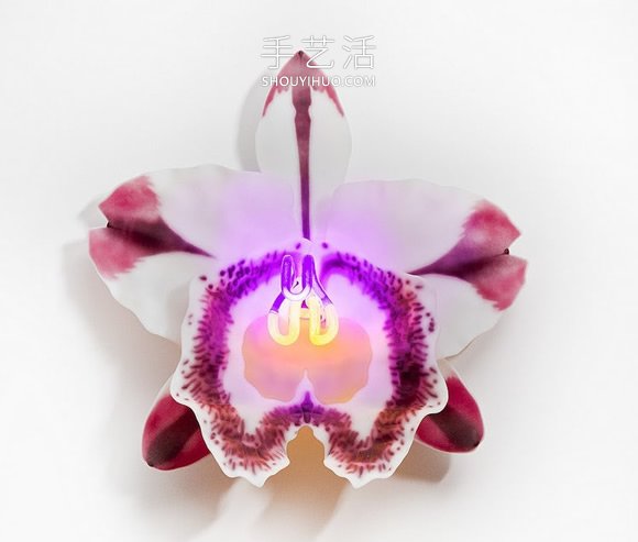 由玻璃制成的發(fā)光蘭花雕塑藝術(shù)品 -  itrip.net.cn