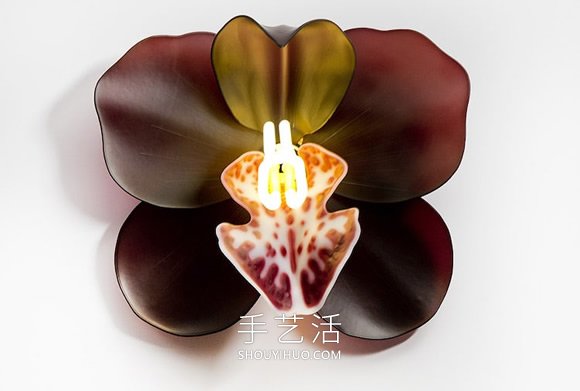 由玻璃制成的發(fā)光蘭花雕塑藝術(shù)品 -  itrip.net.cn