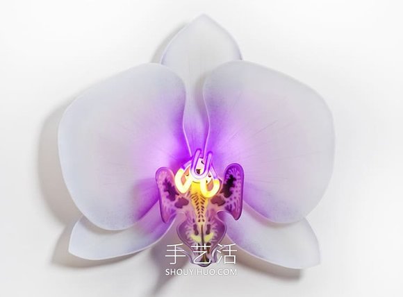 由玻璃制成的發(fā)光蘭花雕塑藝術(shù)品 -  itrip.net.cn