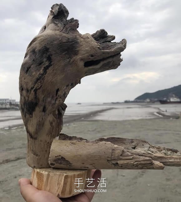 枯木做盆景的造型制作方法 -  itrip.net.cn
