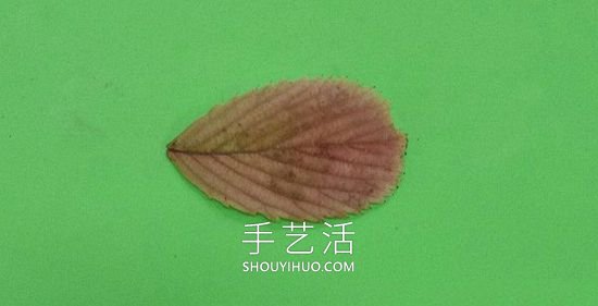 樹葉貼麻雀的制作方法圖片教程 -  itrip.net.cn