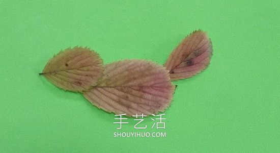 樹葉貼麻雀的制作方法圖片教程 -  itrip.net.cn
