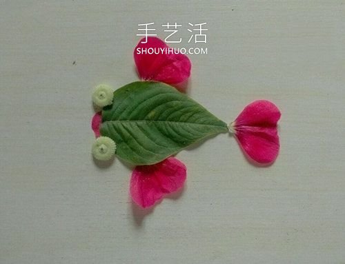 樹葉花瓣粘貼畫金魚圖片簡(jiǎn)單又漂亮 -  itrip.net.cn