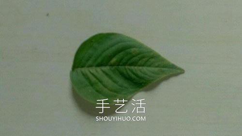 樹葉花瓣粘貼畫金魚圖片簡(jiǎn)單又漂亮 -  itrip.net.cn