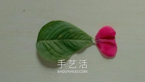 樹葉花瓣粘貼畫金魚圖片簡(jiǎn)單又漂亮 -  itrip.net.cn