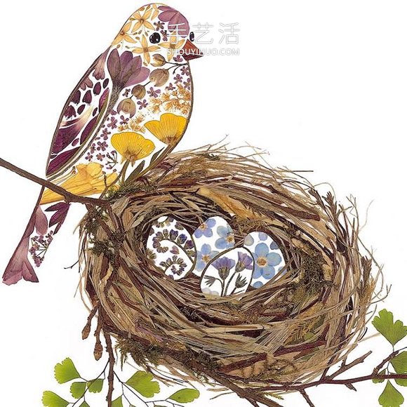 用壓制的花朵和葉子創(chuàng)作精美的動物插圖 -  itrip.net.cn