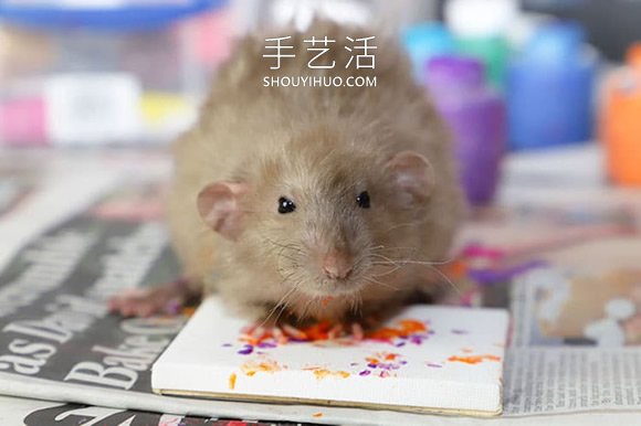 才華橫溢的老鼠創(chuàng)作的微型畫，被搶購一空！ -  itrip.net.cn