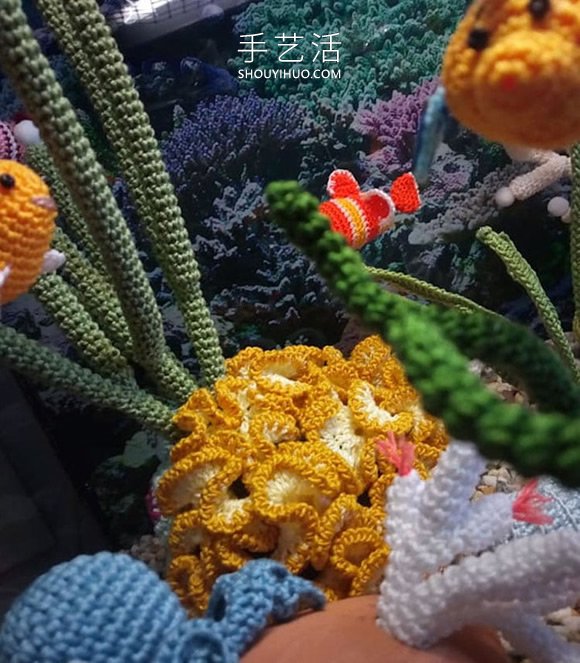 她鉤織海洋生物，制作出一個(gè)逼真的水族館 -  itrip.net.cn