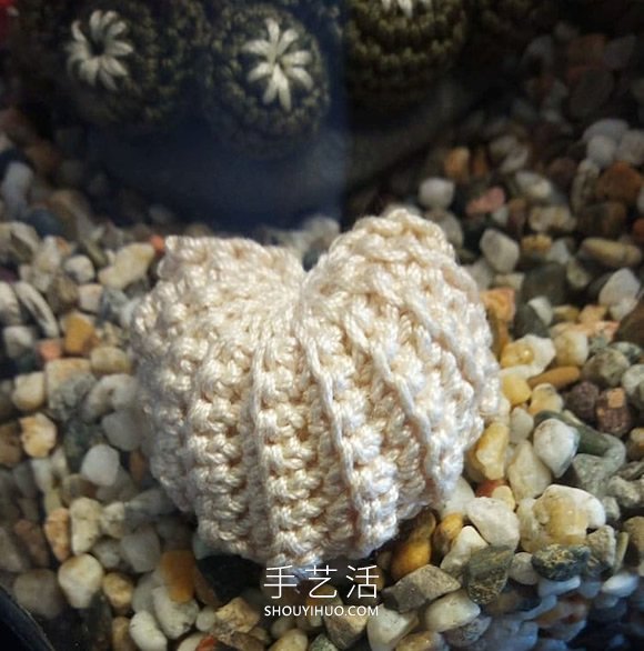 她鉤織海洋生物，制作出一個(gè)逼真的水族館 -  itrip.net.cn