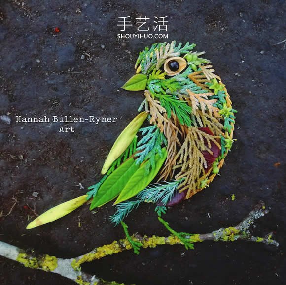 在森林中搜尋花朵和葉子，創(chuàng)作出精美鳥類肖像 -  itrip.net.cn