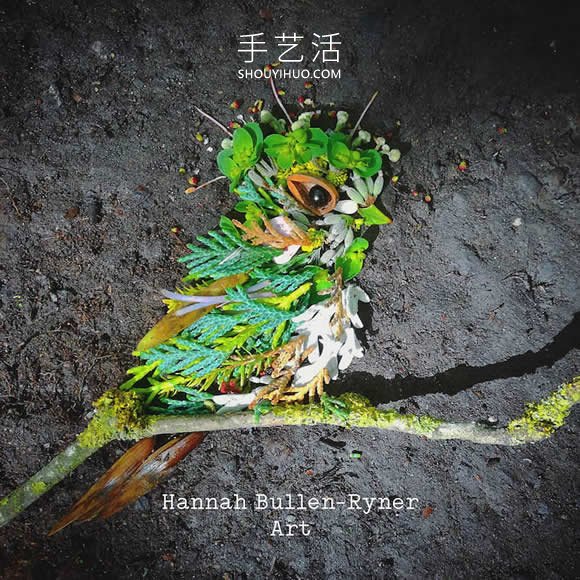 在森林中搜尋花朵和葉子，創(chuàng)作出精美鳥類肖像 -  itrip.net.cn