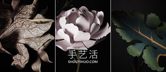 紙雕藝術(shù)家打造如寶石般的手工3D紙花卉 -  itrip.net.cn